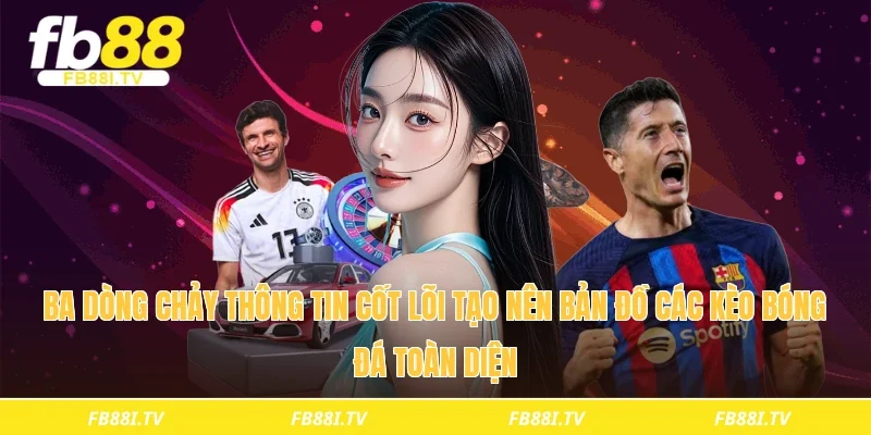 Ba dòng chảy thông tin cốt lõi tạo nên bản đồ các kèo bóng đá toàn diện