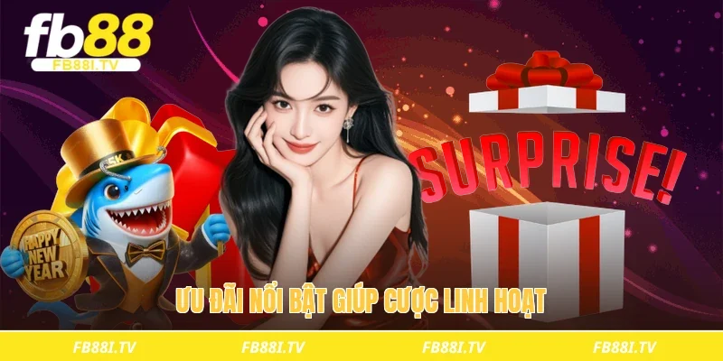 Ưu đãi nổi bật giúp cược linh hoạt
